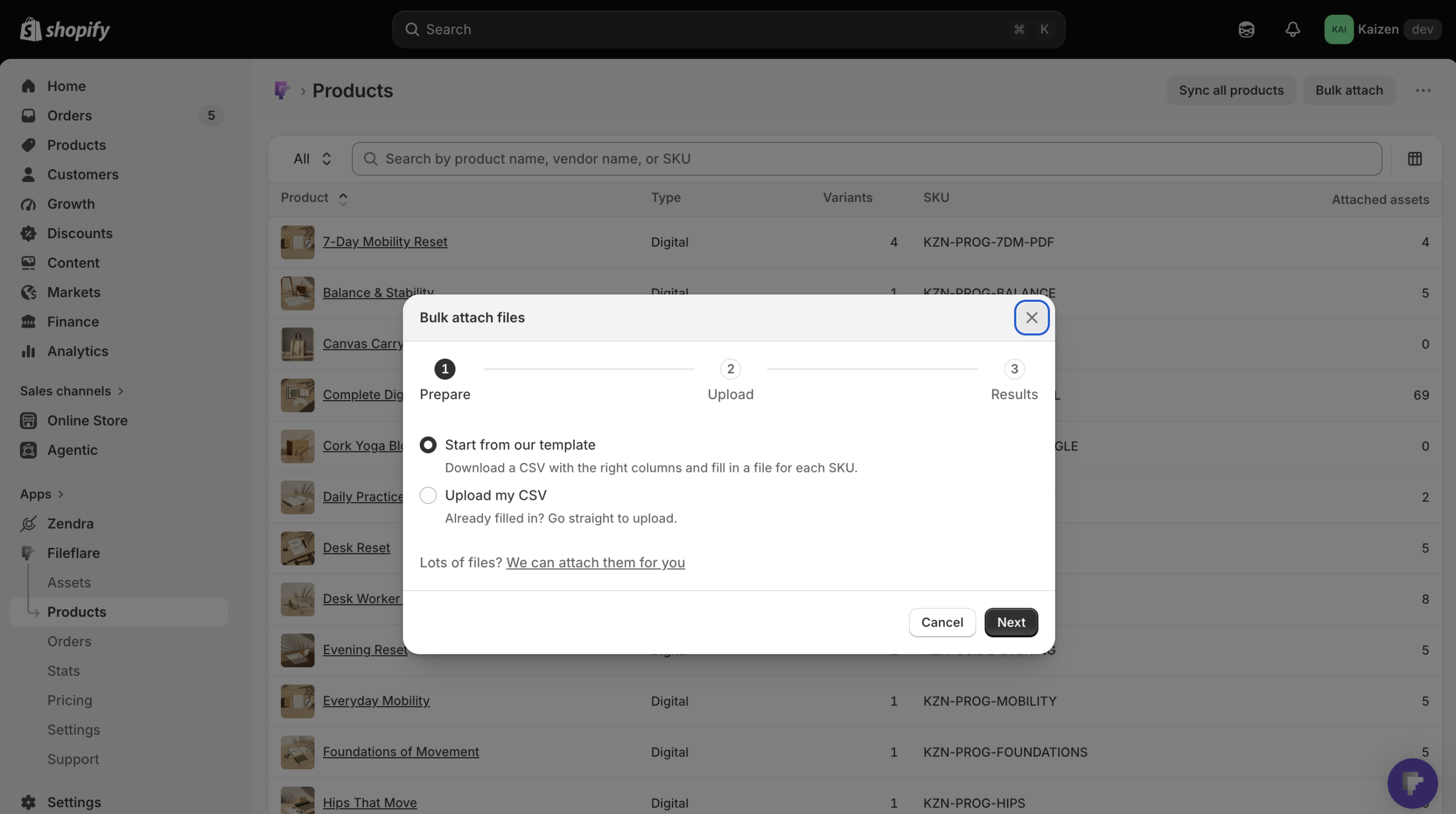 Fileflare bulk attach dialog explaining the CSV import steps